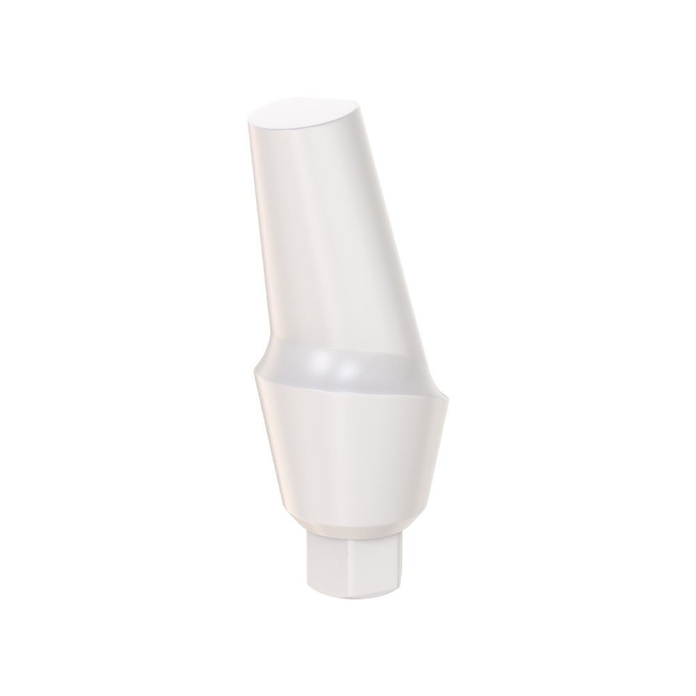1pcs DSl Angulated Abutment Anatomic Peek With Screw 15° Internal Hex