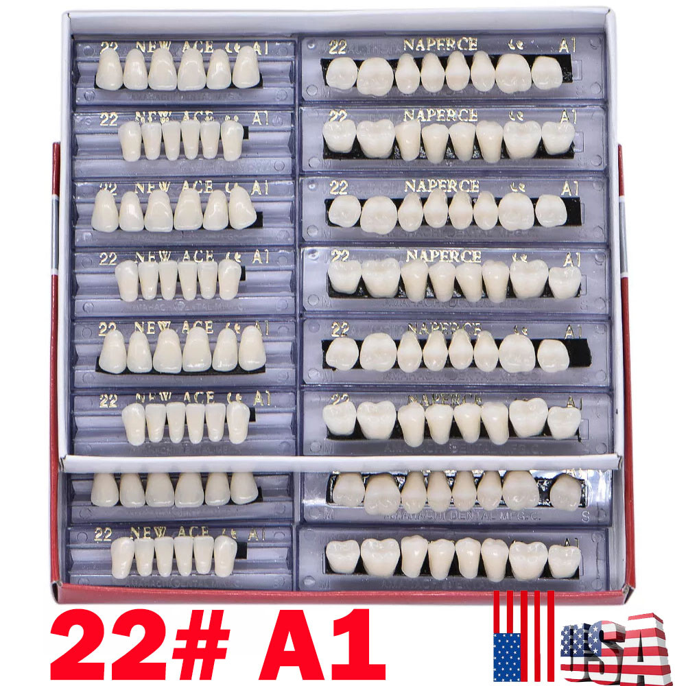 168Pcs Acrylic Resin Denture #22 Dental Upper Lower Shade A1 Teeth Set US