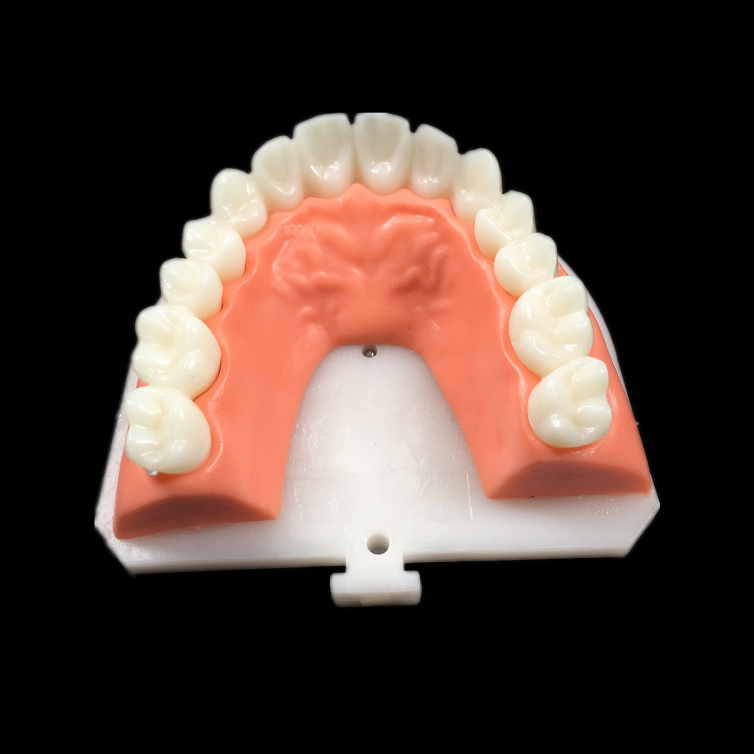 Dental Composite Veneer Template Front Teeth Practise Model Dentist Teaching