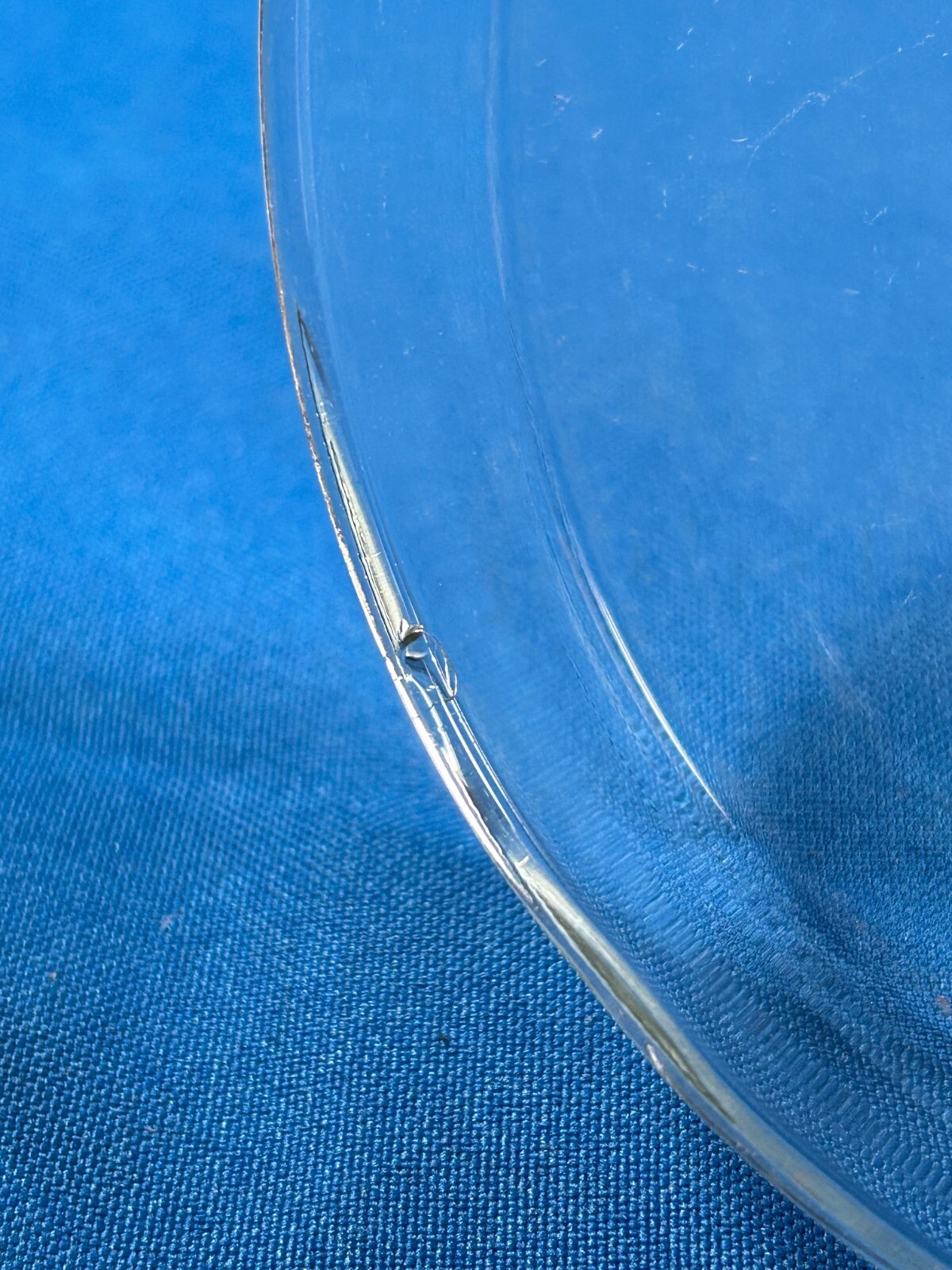 Petri dish set, cover id 123mm, dish.od. 120mm, Quality Lab Glassware