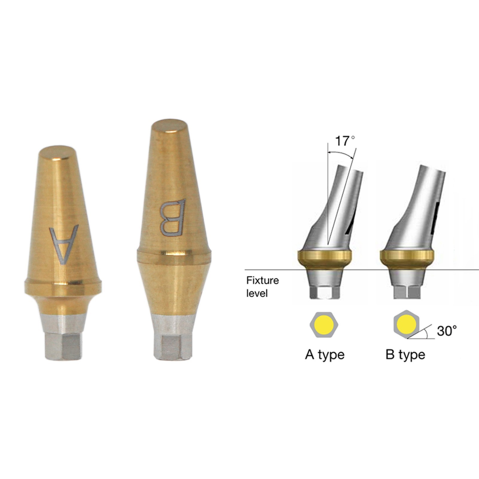 US Dental 17° Angled Anatomic Abutment For Hiossen Osstem Mini/Regular Platform