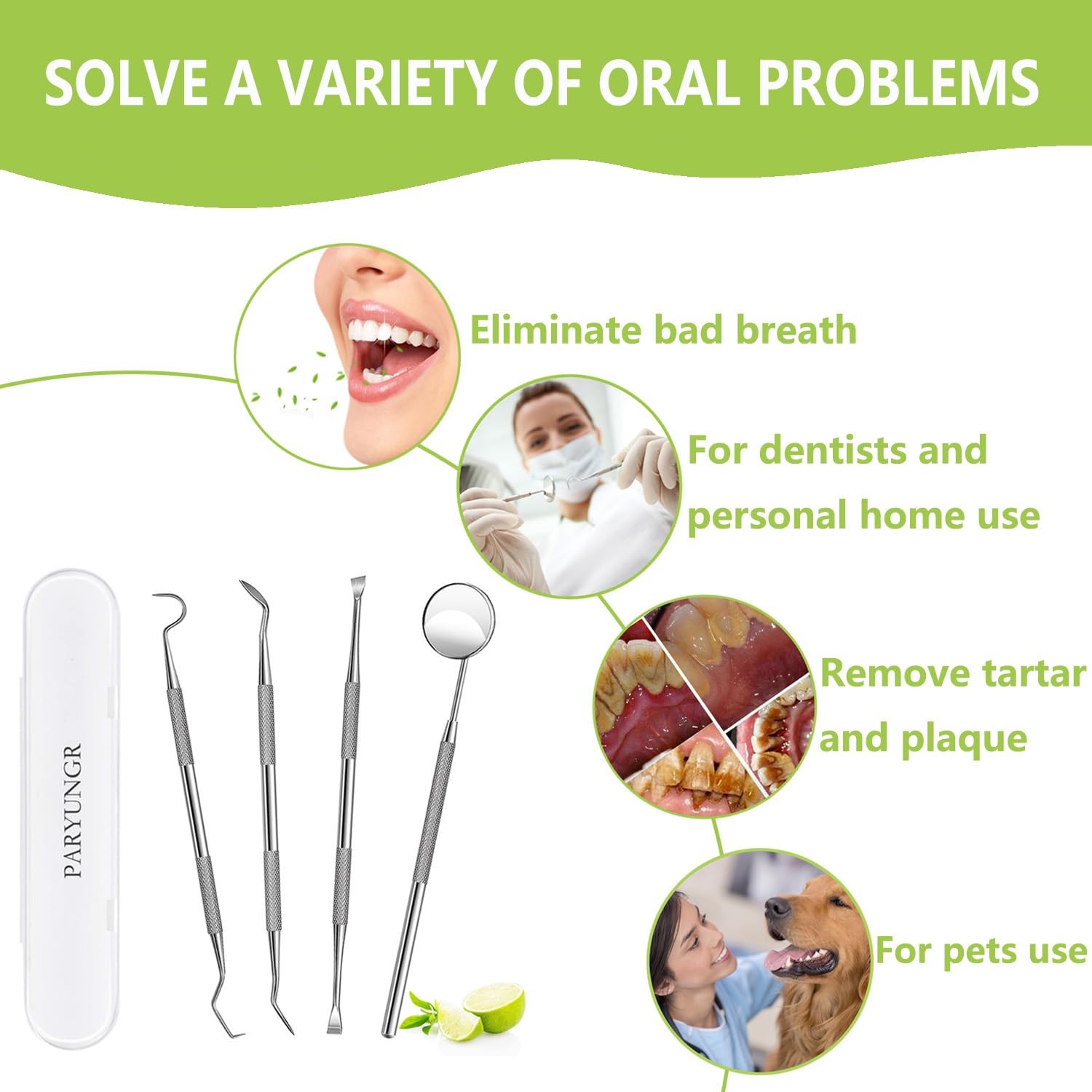PARYUNGR Dental Tools, Professional Teeth Cleaning 5 Piece Assortment, Silver