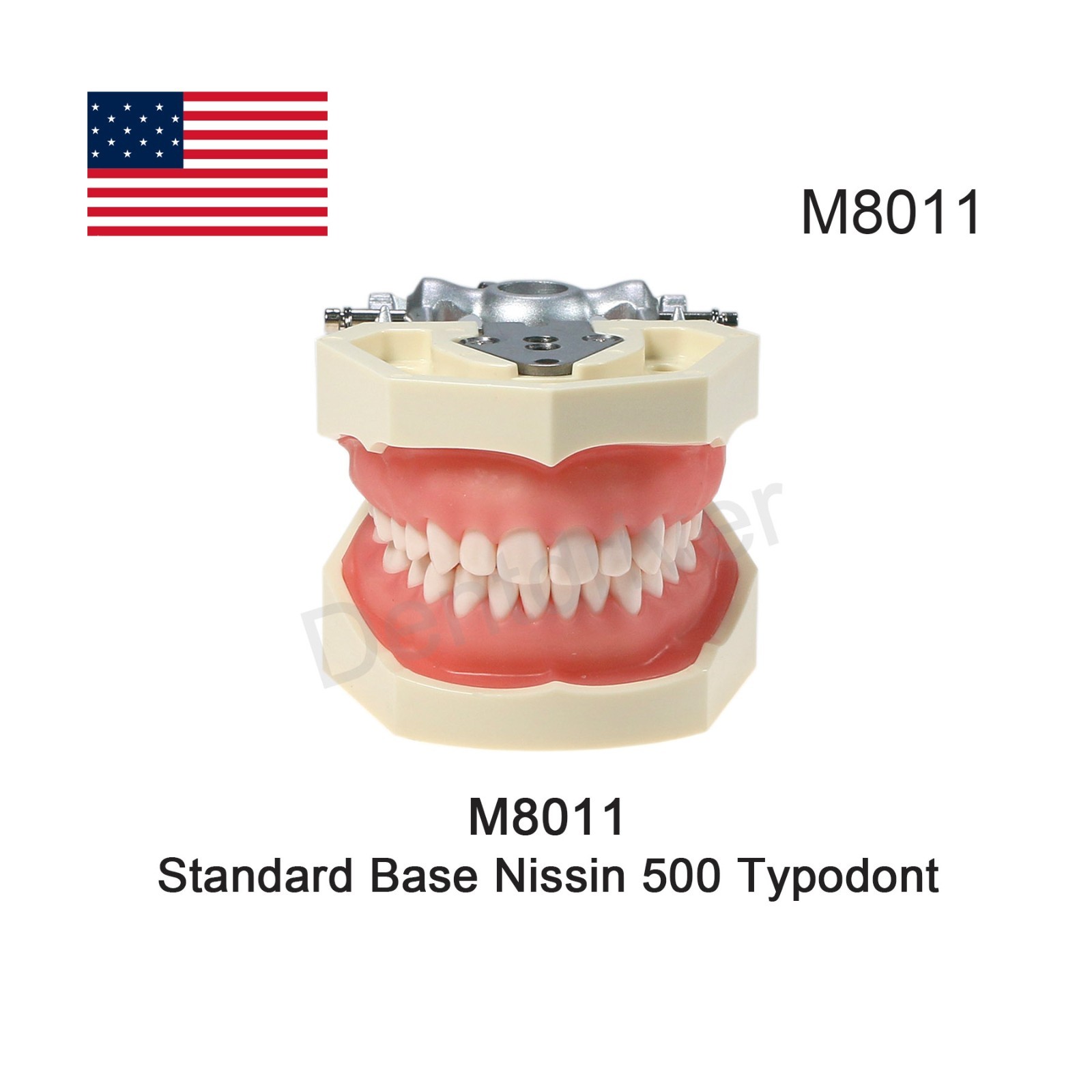 US Dental Typodont Model Mounting Pole Compatible with Columbia/Kilgore/Nissin