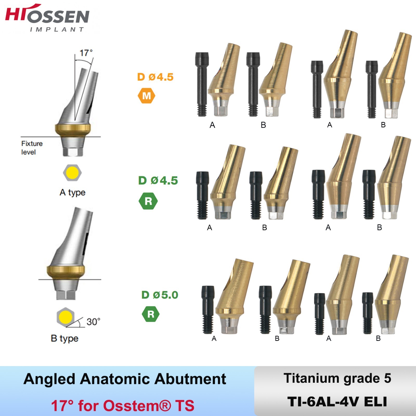 US 17° Dental Angled Anatomic Abutment Hiossen/Osstem TS Mini/Regular Platform