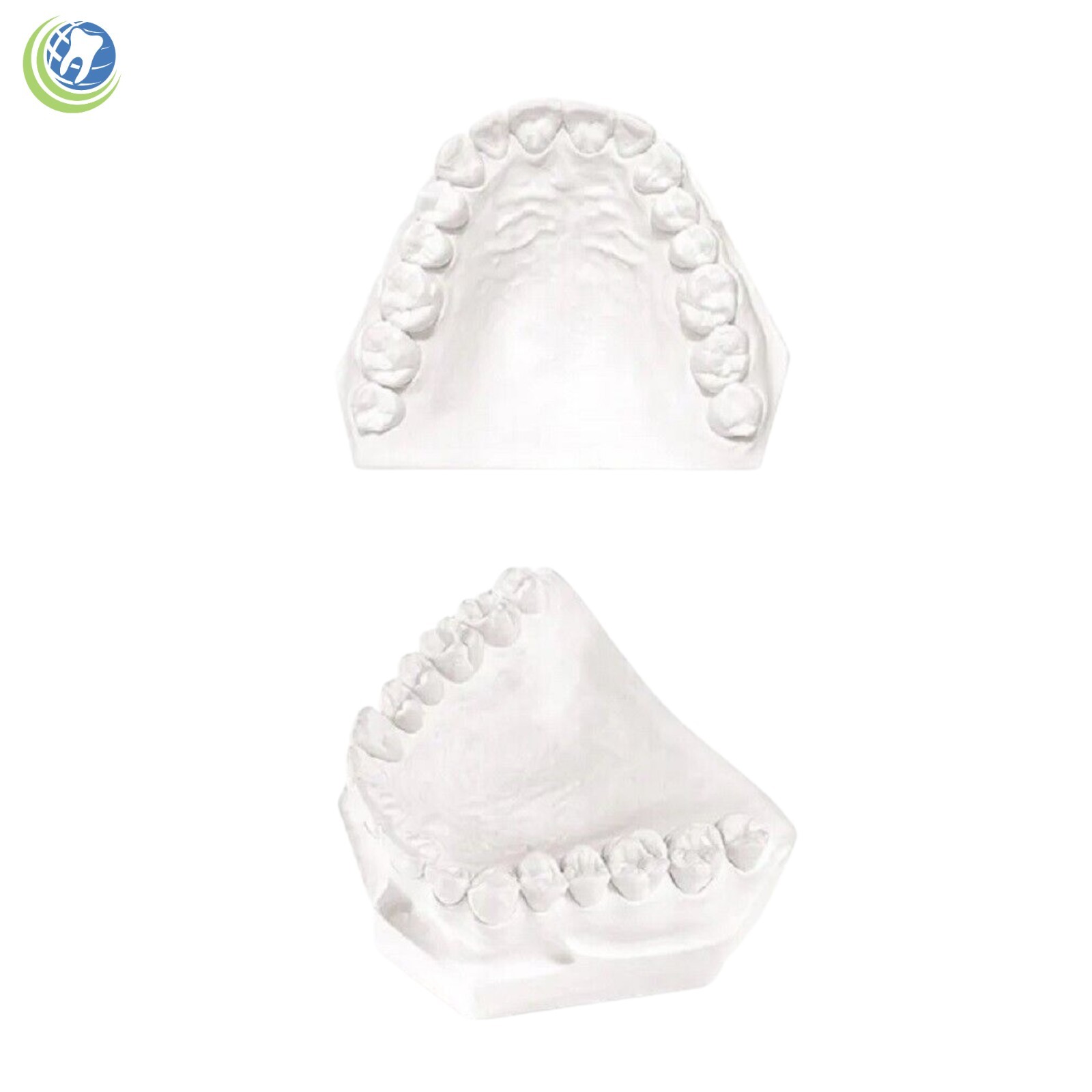 DENTAL LAB PLASTER CREAMY WHITE TYPE II REGULAR SET 1 Lb. (454 G)
