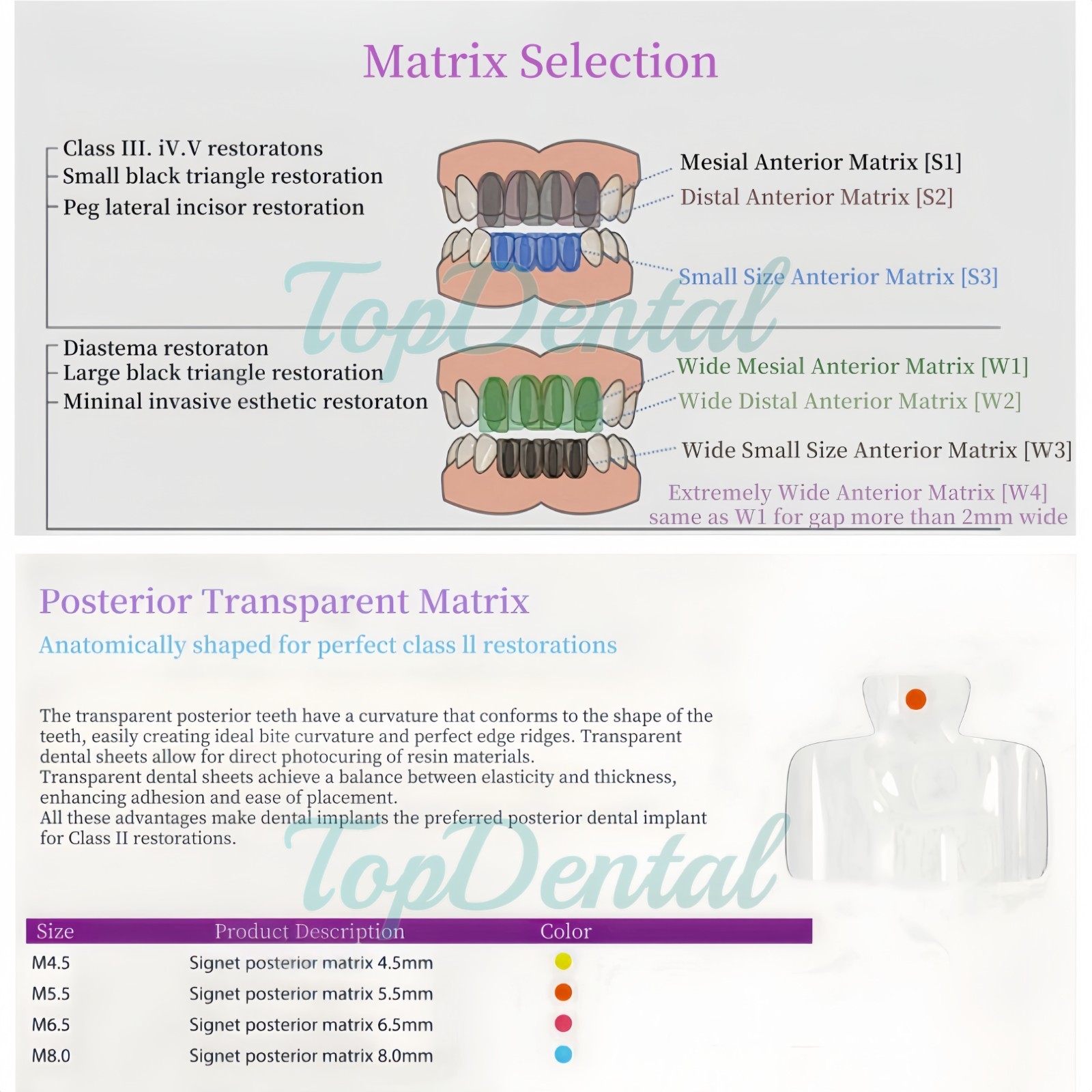 USA Clear Matrix Dental Anterior Posterior Transparent BT Matrices Fit BioClear