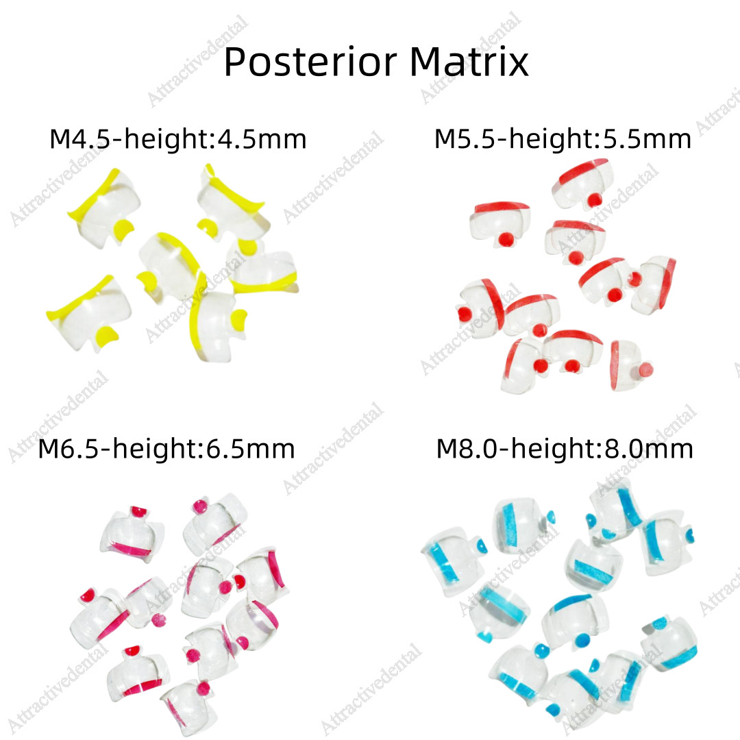 USA Clear Matrix Dental Anterior Posterior Transparent BT Matrices Fit BioClear