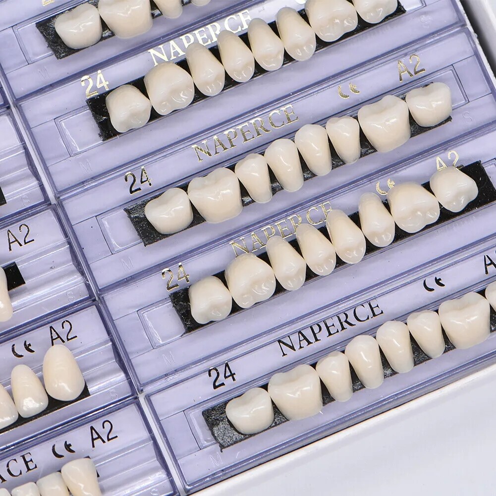 168X Acrylic Resin A1/A2/A3 Dental Denture Teeth Upper Lower Shade 22/23/24# USA