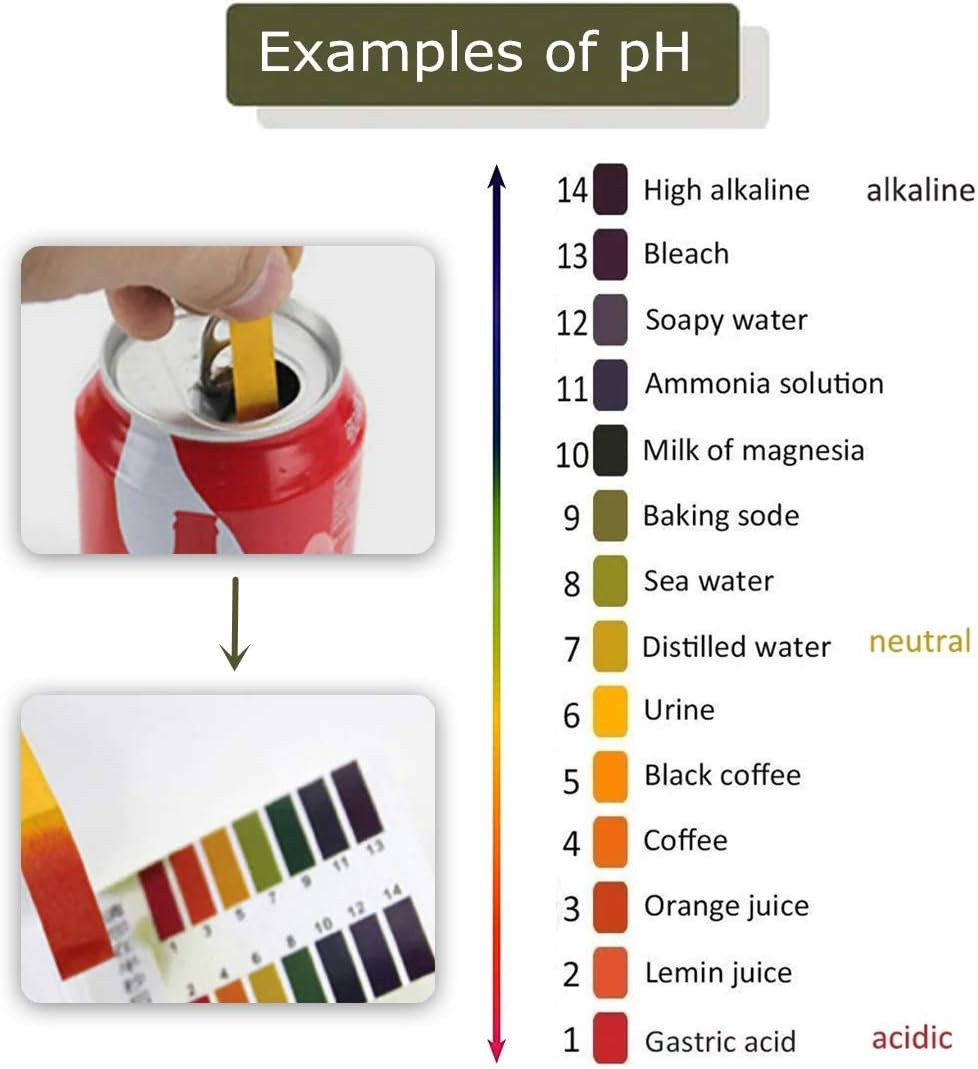 3 Pack Ph.1-14 Test Paper Extensive Test Paper Litmus Test Paper 240 Strips Ph T