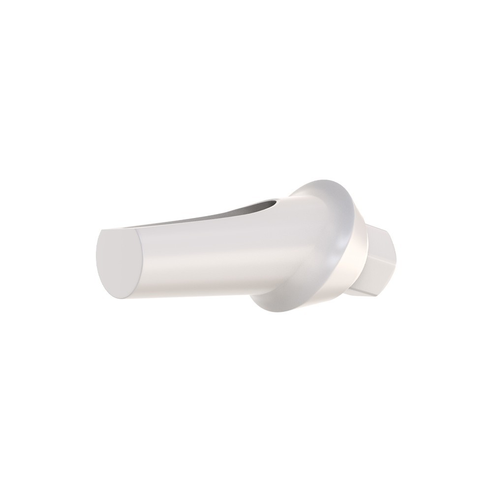 1pcs DSl Angulated Abutment Anatomic Peek With Screw 15° Internal Hex
