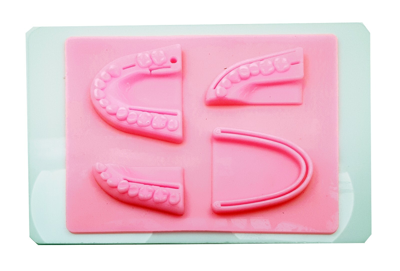 Premium Dental Silicon Suture Training Pad W/ Tray Suture Pad Regular Wounds Set