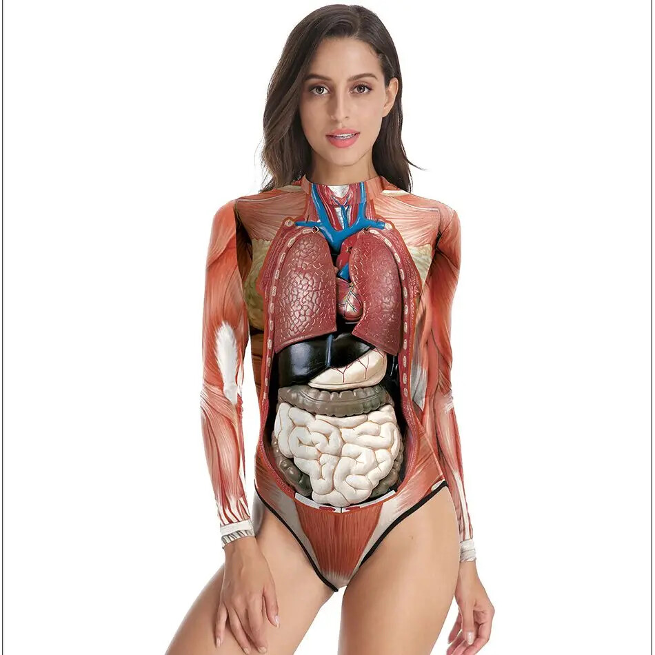 Medical Science Anatomy Woman Human Body Structure Tissue 3D Printing Model