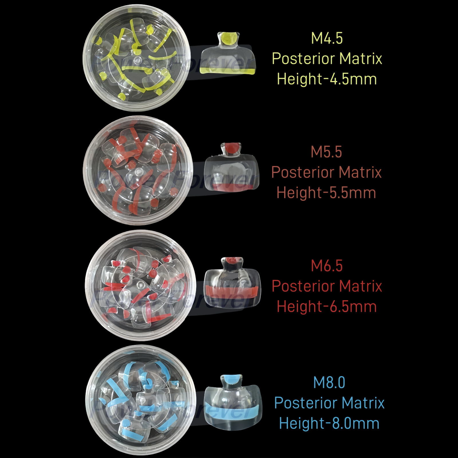 Dental Clear Matrix Anterior Posterior Restorative BT Bow Matrices Fit BioClear