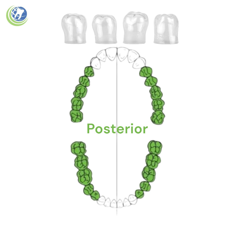 DENTAL TRANSPARENT STRIP OFF CROWNS F POSTERIOR 60PC ADULT KIT DENTAL EMPORIUM