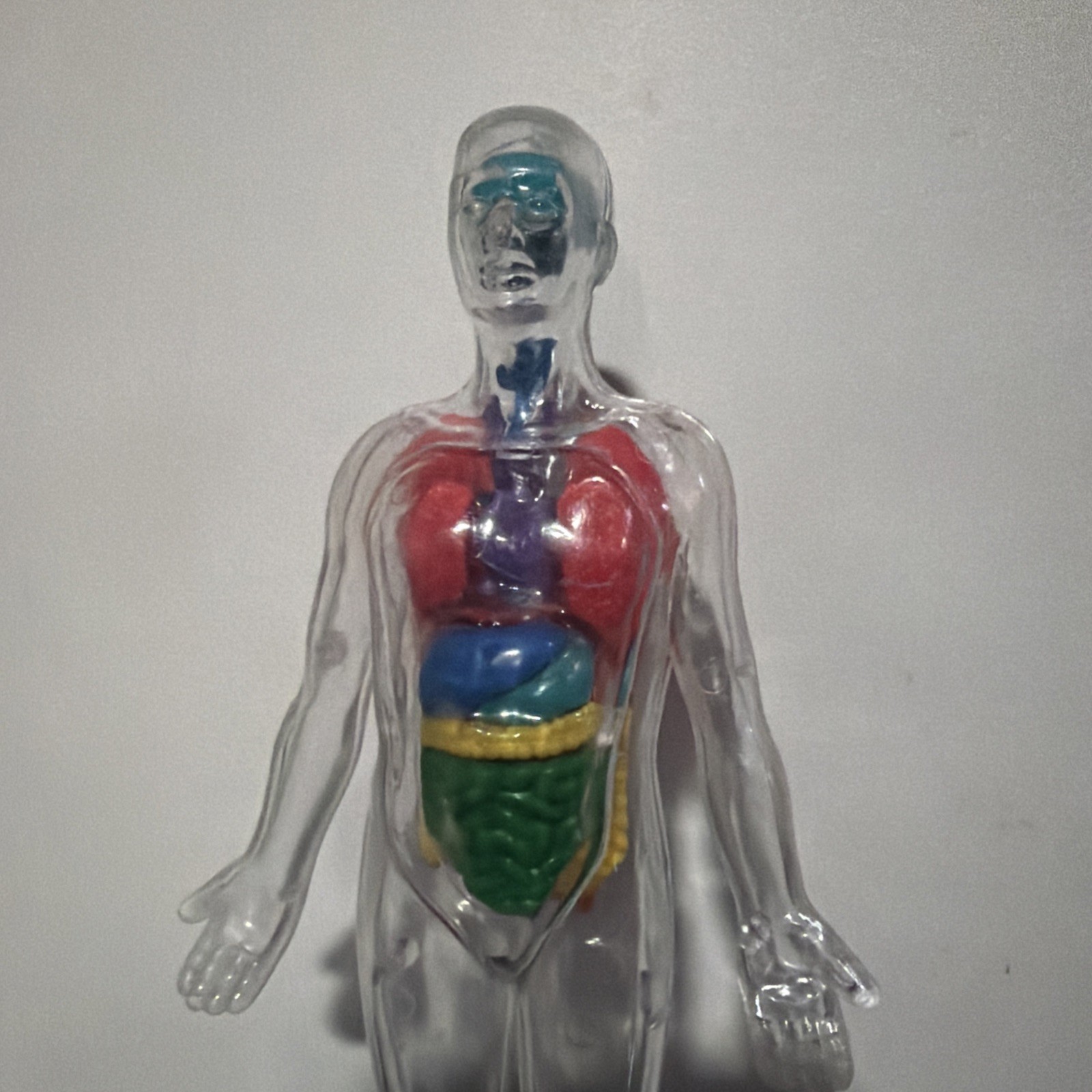 Invisible Man Human Body Anatomy Medical Doll 8” Figure w Organs Plastic