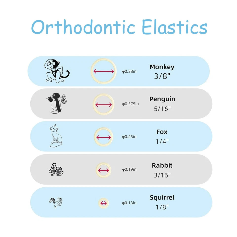 US Orthodontic 5.0Oz Elastics Braces Rubber Bands Latex Braces 1000/2000/3000Pcs