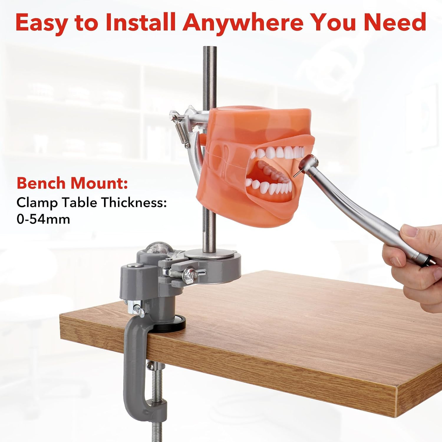 Dental Typodont Teeth Model 32 Removable Teeth 360 Rotating Training Mount Set