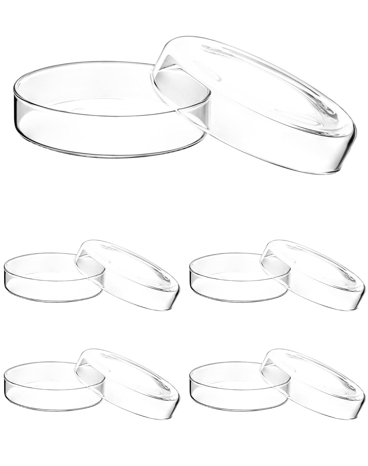 5-Pack Glass Petri Dishes 100mm x 23mm with Lids |Thick 3.3 Borosilicate Lab Set