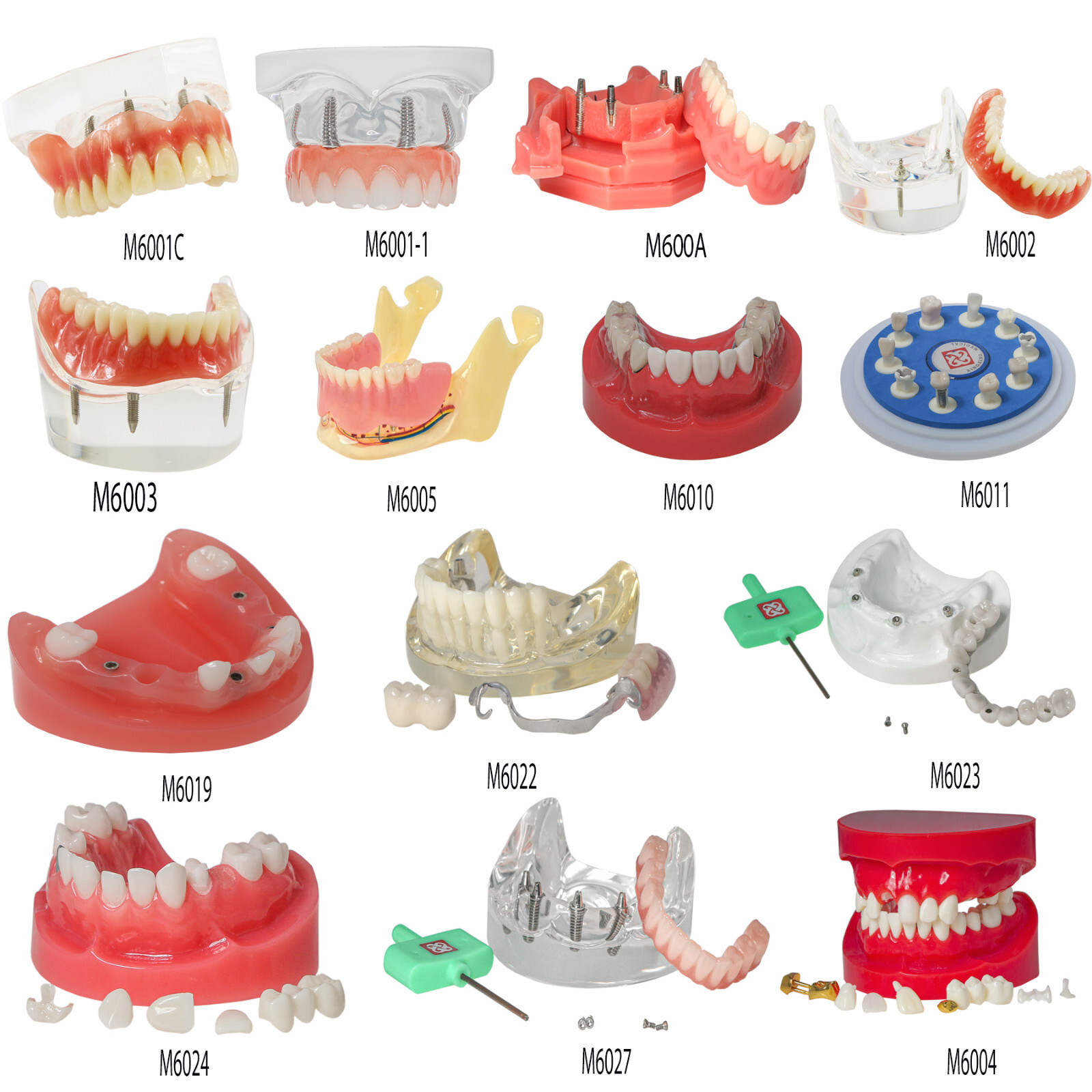Implant Typodont Teeth Restoration Model Overdenture Practice Demo Series Dental
