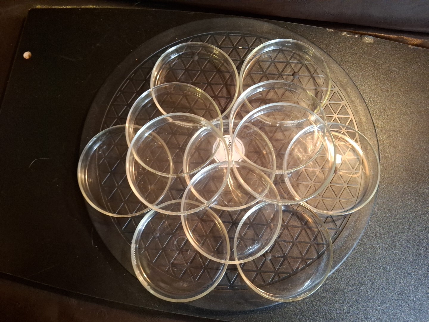 Kimax / Pyrex Petri Dishes 100mm x 15mm Set – 12 Covers and 12 Bottoms