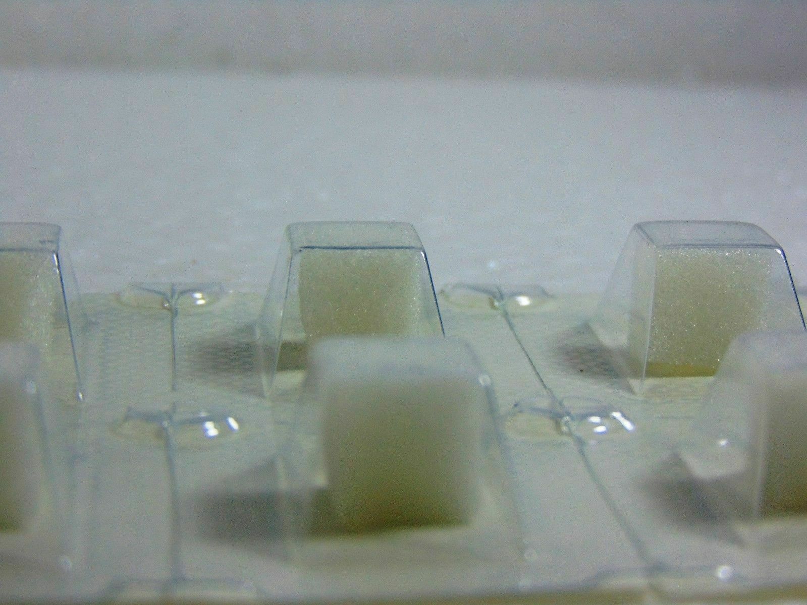 2X DENTAL HEMOSPONGE ABSORBABLE GELATIN SPONGE USP STERILE 32 SPONGE LONG EXPIRY