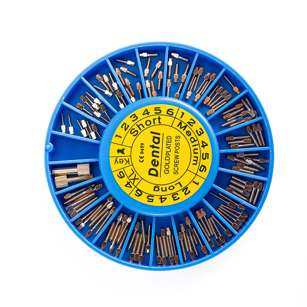 240pcs/kit Dental Screw Post Completed Kit Silver/Gold Plated Endo Conical Pins