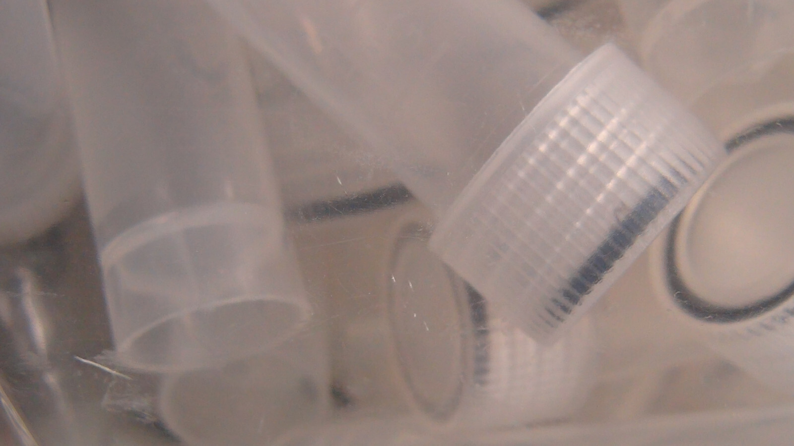 200 x 5mL Cryovial Screw Cap Transport Tubes Self Standing Sterile Clear