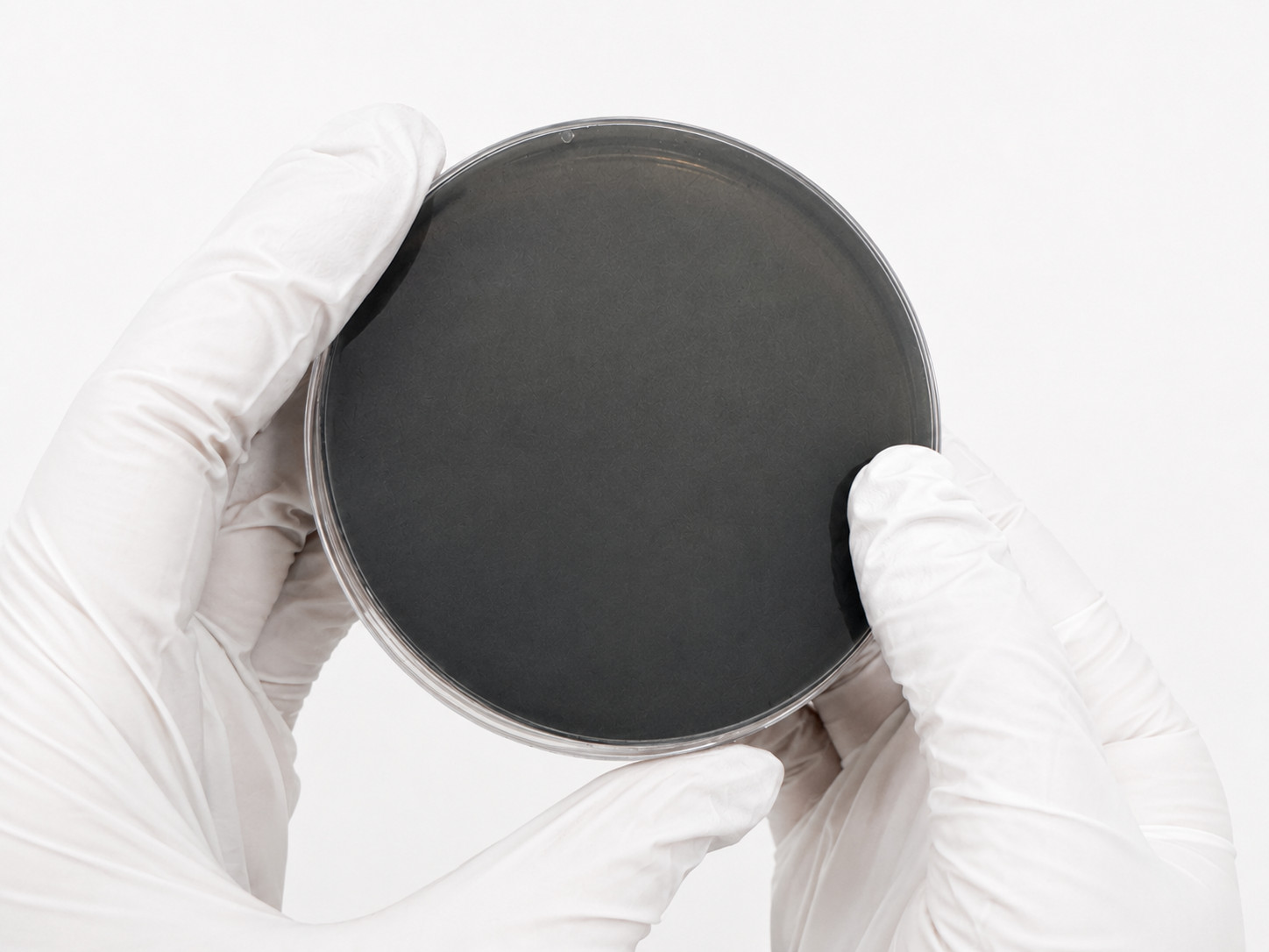 Pre Poured Sterile Agar Plates – 10 Count Malt Extract | MEA | 90mm Petri Dishes