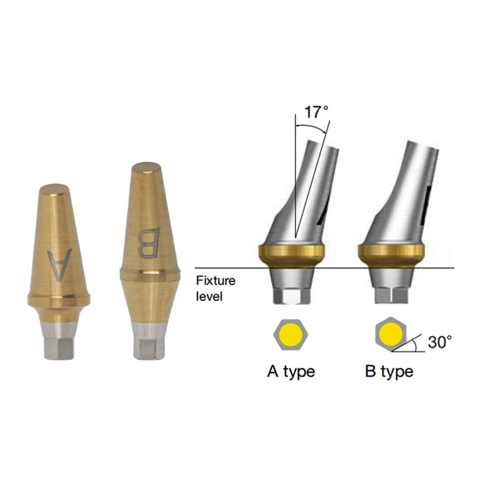 US Dental 17° Angled Anatomic Abutment Mini /Regular Fits Hiossen Osstem TS