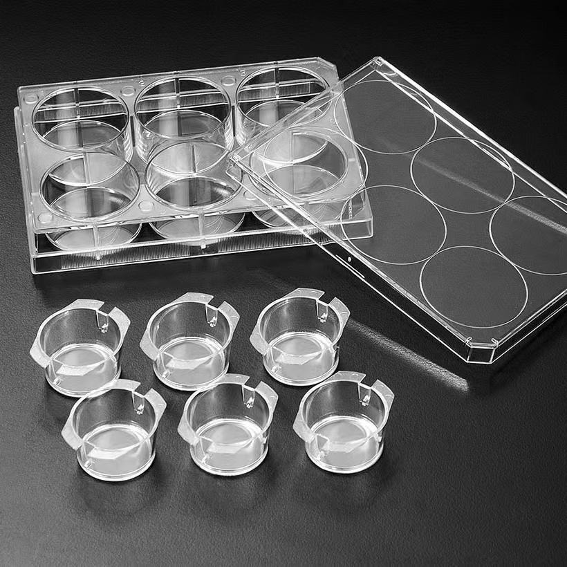 3D Cell Culture Plate Insert™ Hanging, PC, 3μm/8μm, Sterile, 6 Pcs/PK, 24 Pcs/CS