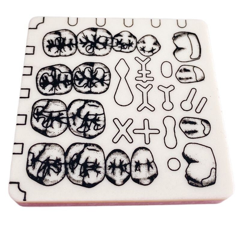 Dental Cavity Preparation Hole Dentin Practise Model Filling Template US STOCK