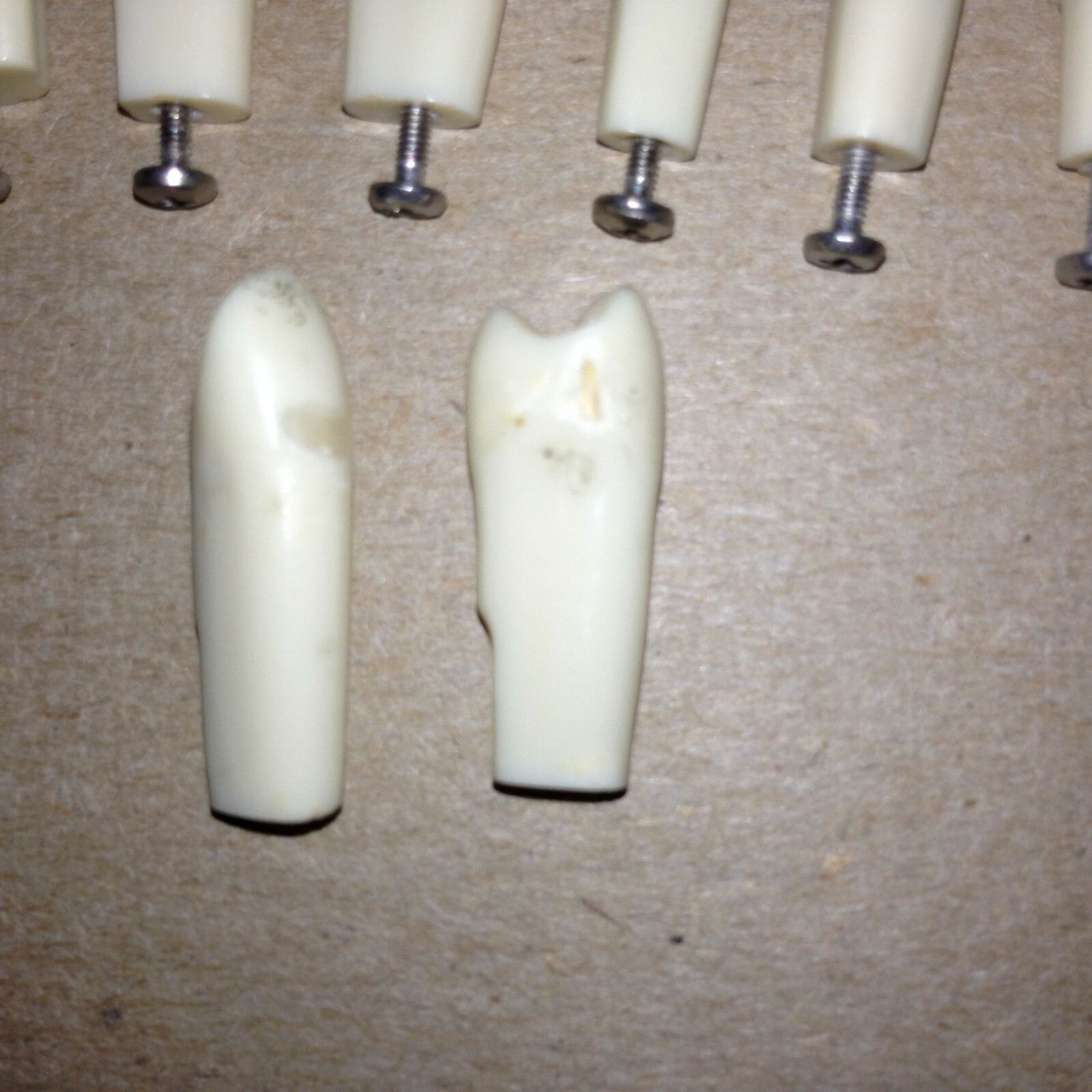 Typodont Teeth Lot Of 10 #s 2 4 5 7 8 9 21 Unumbered (2) Dental School Lab