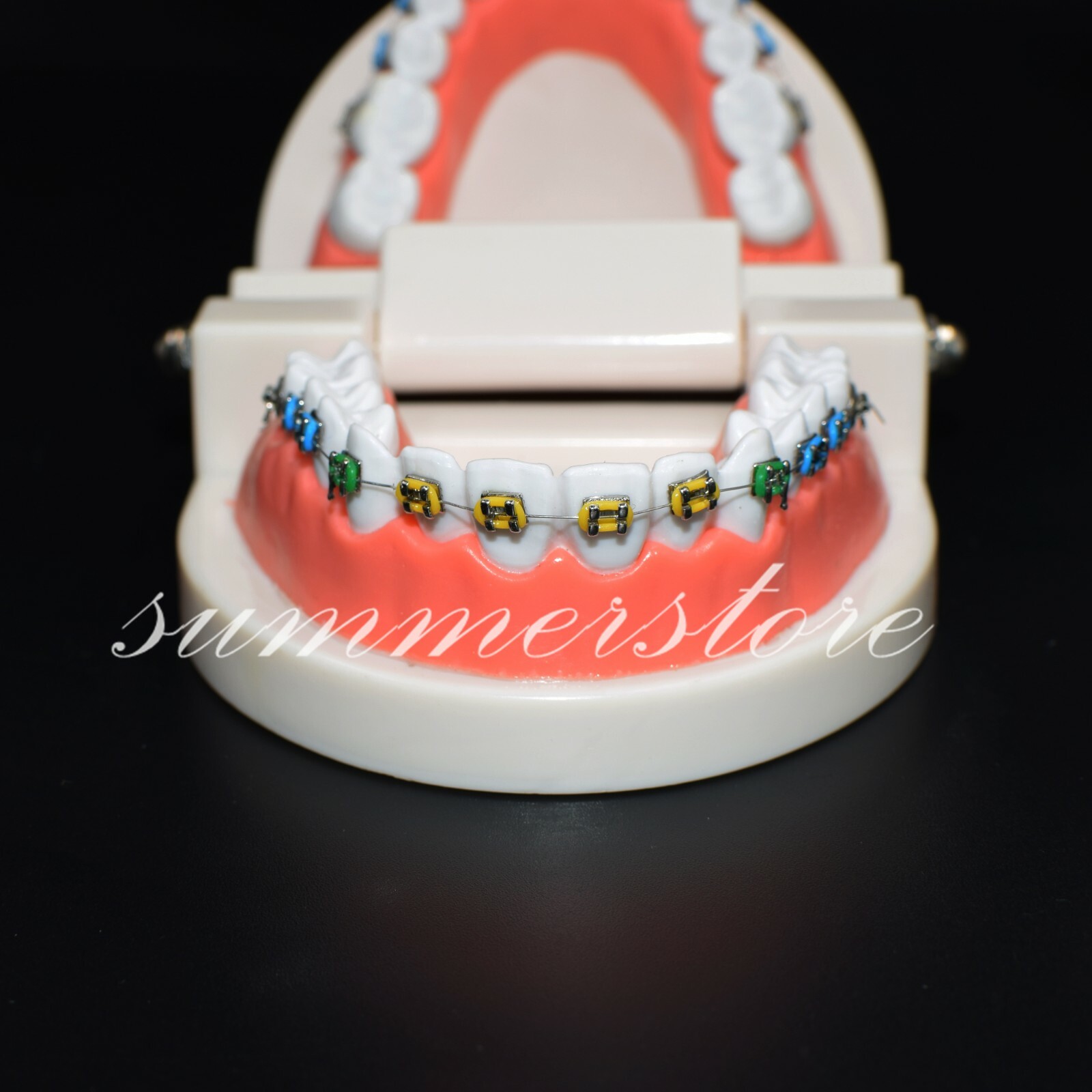 1x Dental Orthodontic Standard Teeth Model With Bracket&Buccal Tube&Ligature Tie