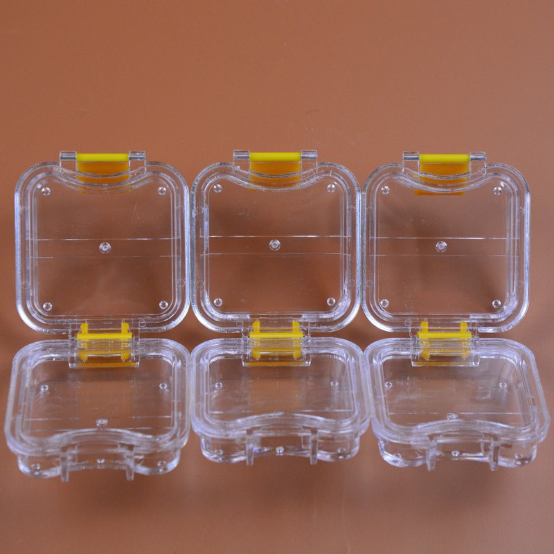 Denture False Inlay Teeth Membrane Case Box Fragile Hinged Display Jewelry Boxes