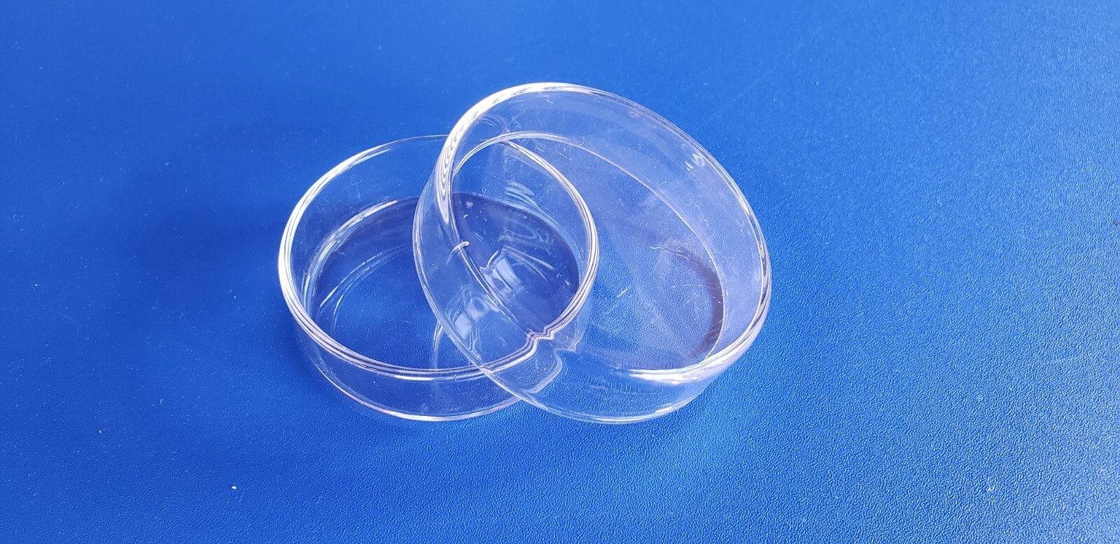 lab Glass Petri Dish Clear Borosillicate class 60mm a set of 10 new