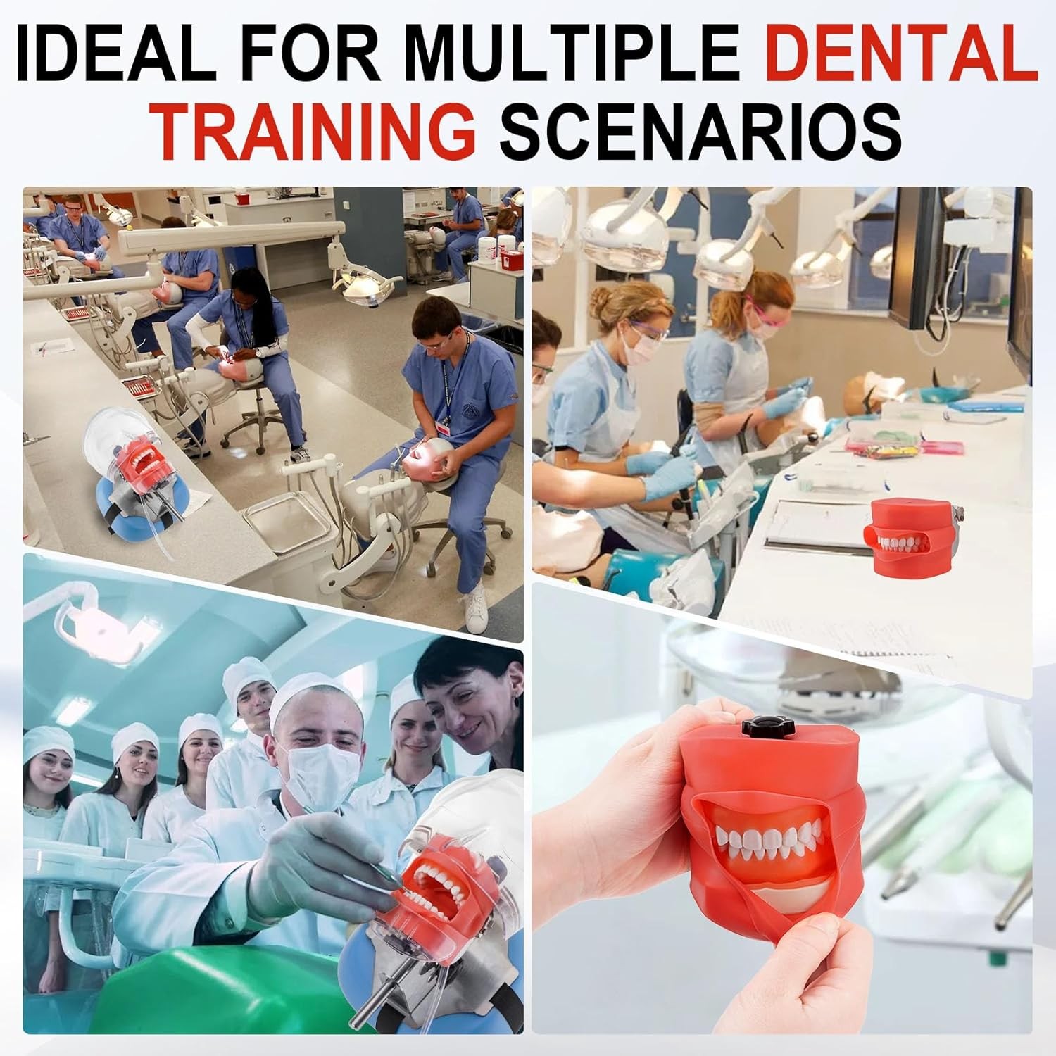 New Dental Simulator Mannequin Head Teeth Model Typodont Model &Teeth Mount Pole
