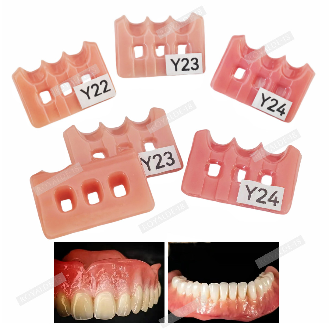 Gum Shade Gingiva Color Plate Indicator Tri-Color Gummy Model Similar SHOFU GC