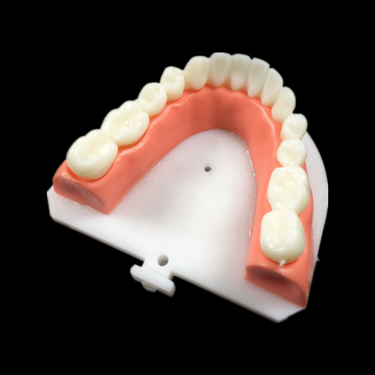 Dental Composite Veneer Template Front Teeth Practise Model Dentist Teaching