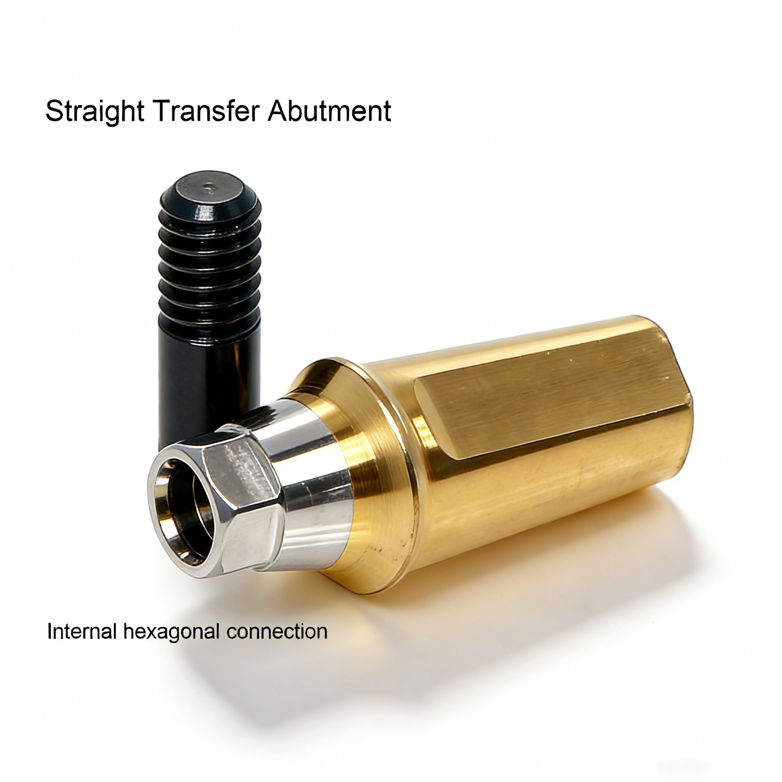 US Titanium Straight Dental Abutment Mini Regular Hex Fit Hiossen ET TS Implants
