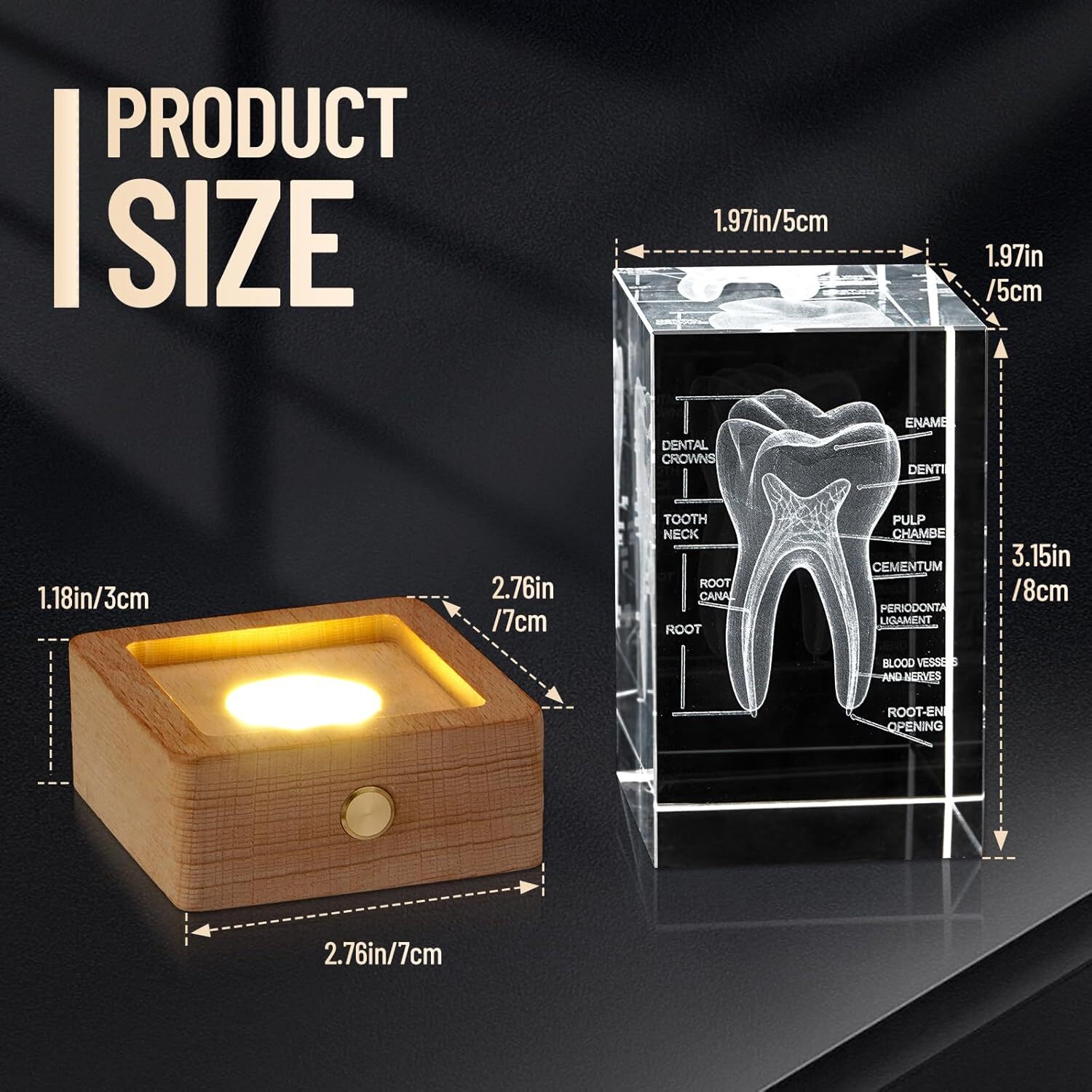3D Crystal Human Tooth Model Black Gift Packaging for Home and Office Decoration