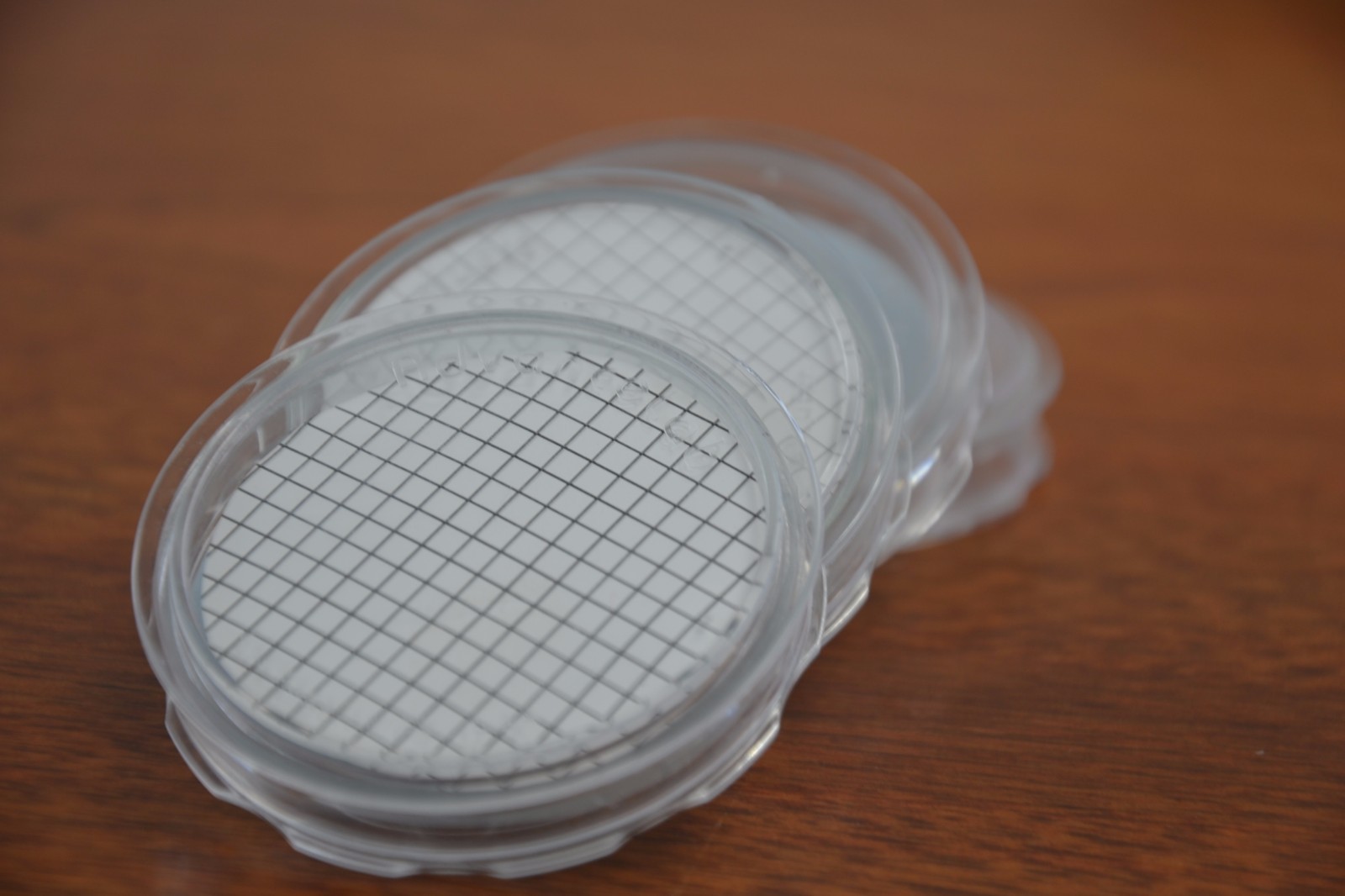 [Set of 20] Petri Dish 50x9mm Disposable Clear Bacterial Plate w/ Tight Light