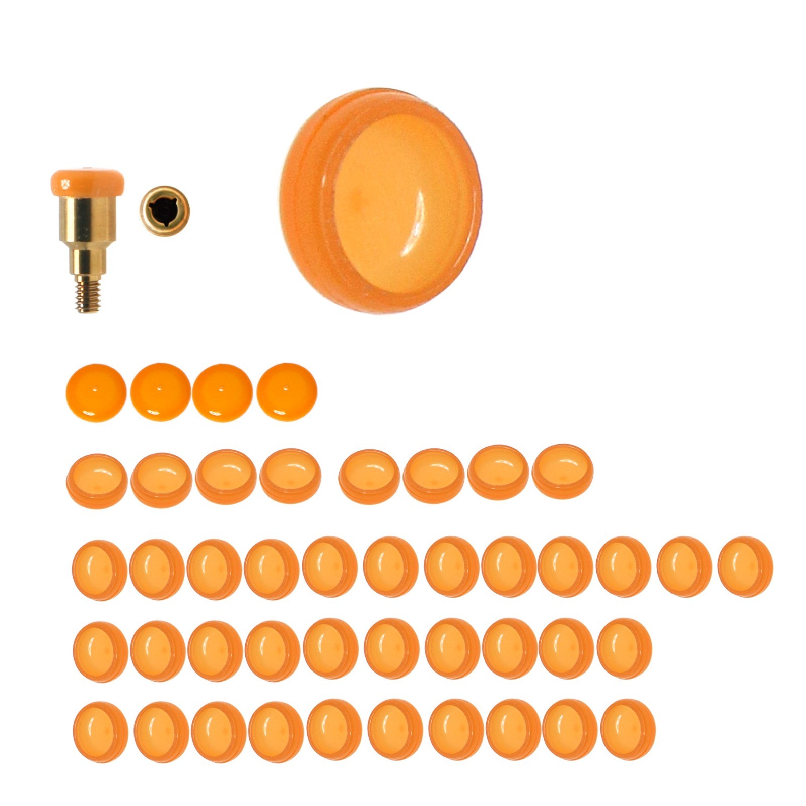 Locator Abutment Replac Retention cap Set Insertion Extraction Locator core Tool