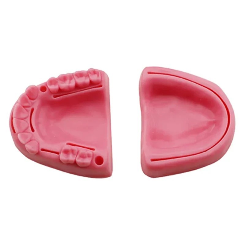 Dental Oral/Gum Suture Training Pad Silicone Periodontitis Suture Model