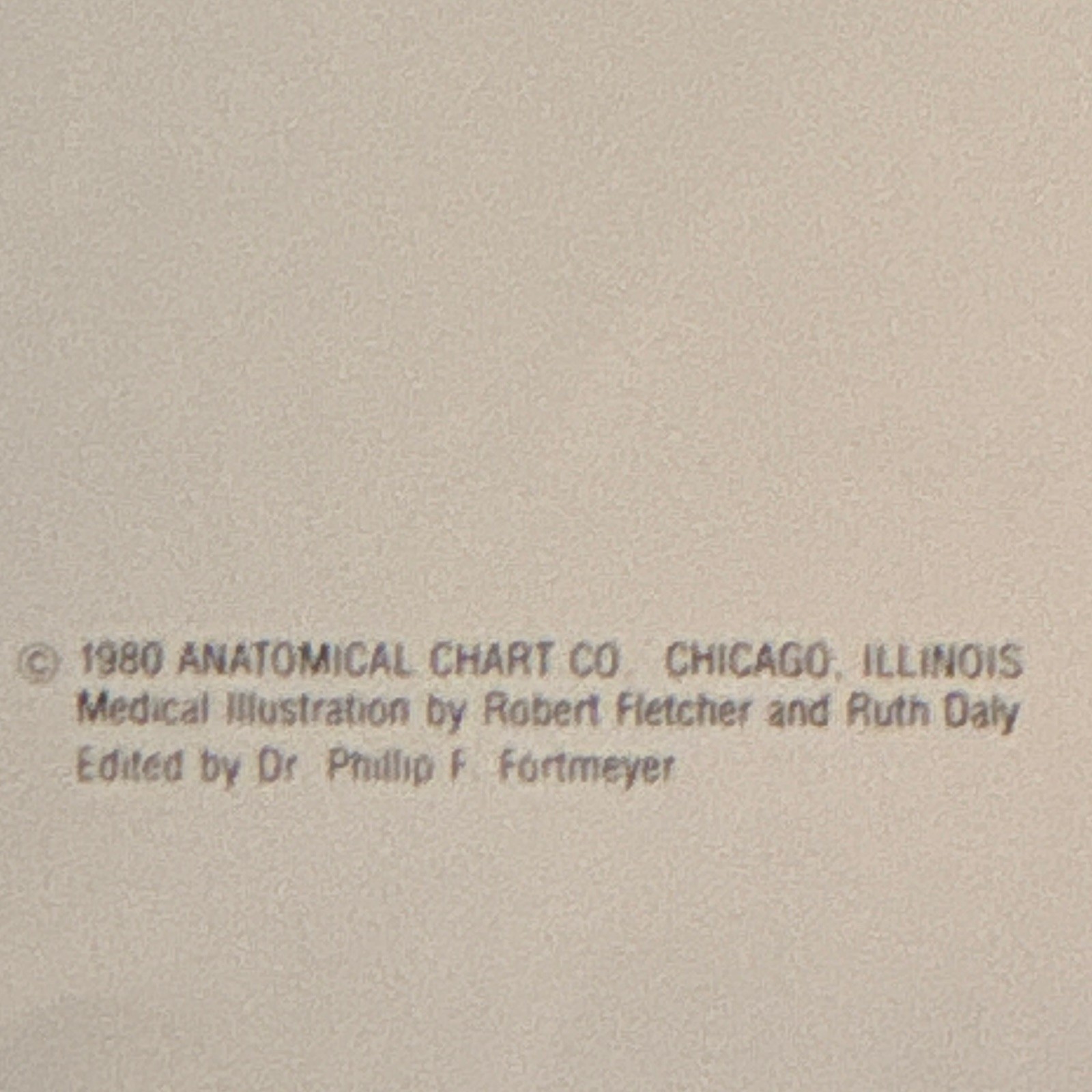 Anatomical Chart Co. The Vertebral Column Anatomical Chart Orthopedics 1980