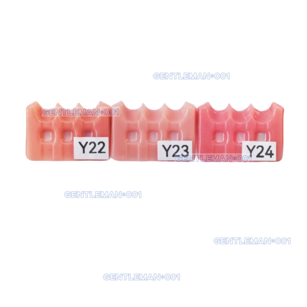 Gum Shade Gingiva Color Plate Indicator Tri-Color Gummy Model Similar SHOFU GC