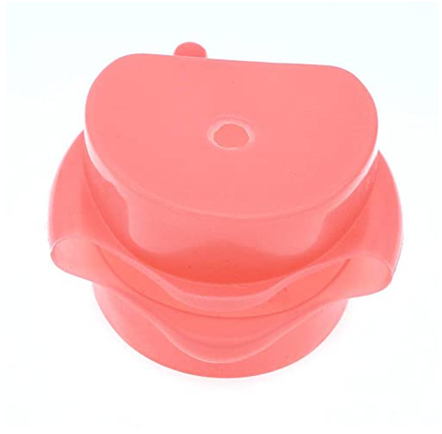 Dental Typodont Model Compatible with Kilgore Nissin 32 Removable Teeth and Simu