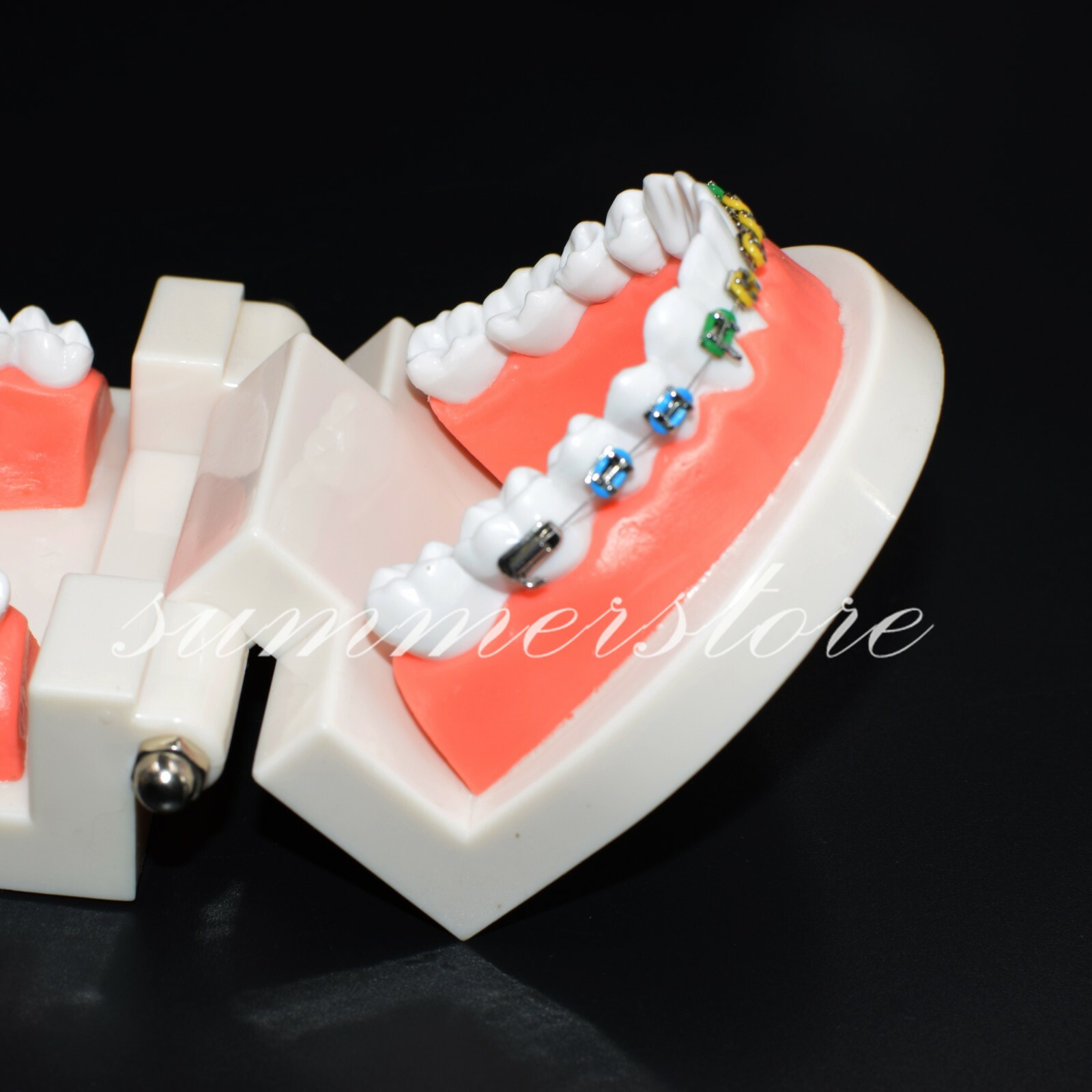 1x Dental Orthodontic Standard Teeth Model With Bracket&Buccal Tube&Ligature Tie