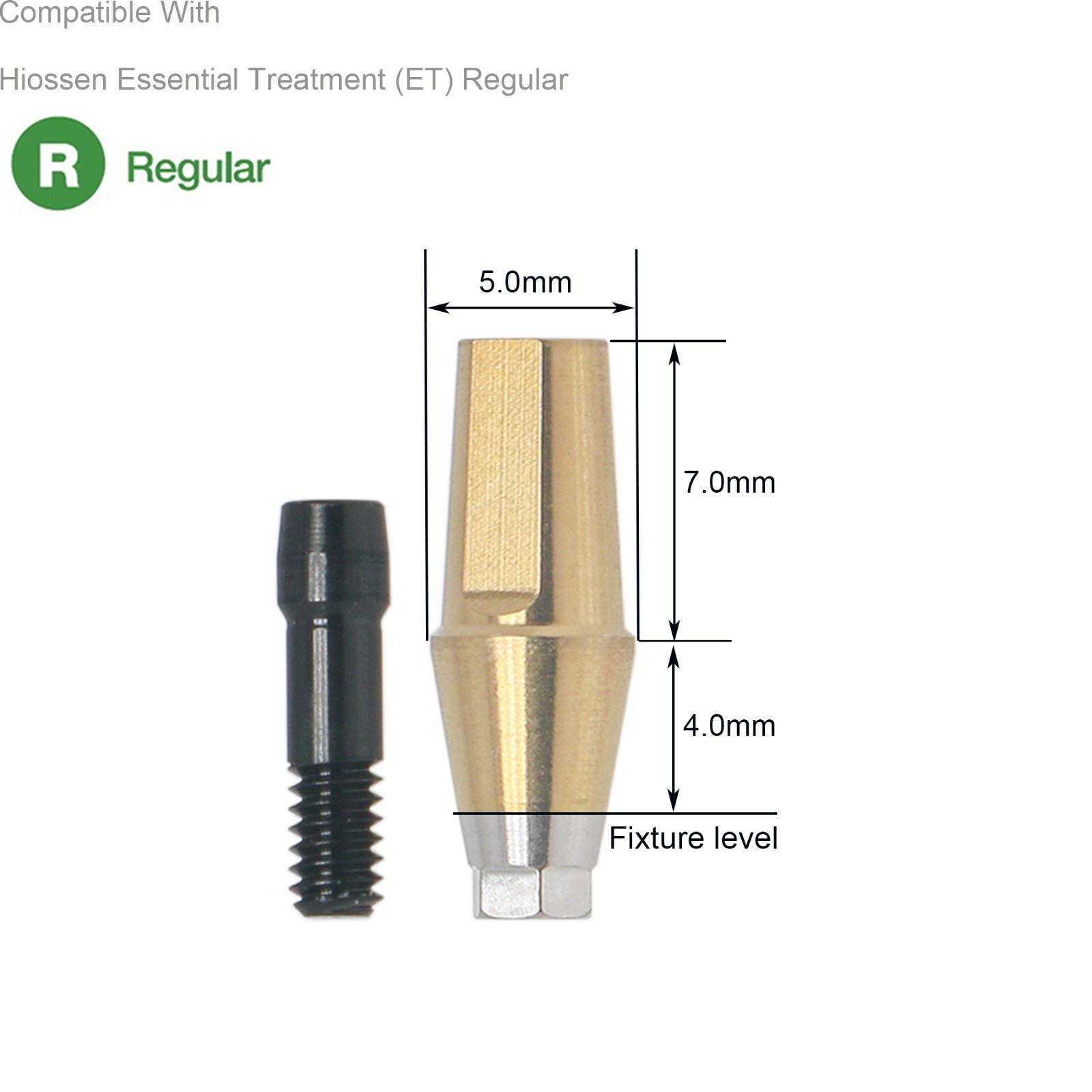 Dental Hex Straight Abutment with Screw Mini Regular Fit for Osstem Hiossen TS