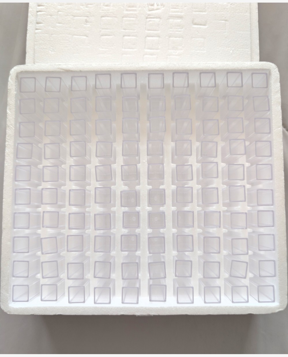 Fisherbrand Polystyrene Disposable Cuvettes 4.5 mL 4mm Path 14955129 New, 100