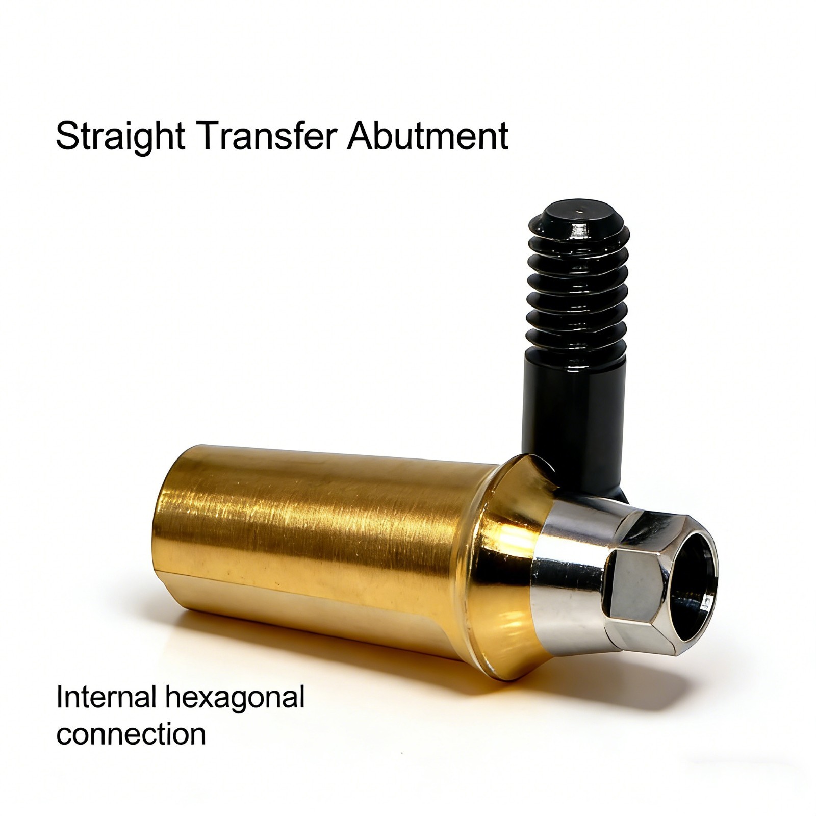 US Titanium Straight Dental Abutment Mini Regular Hex Fit Hiossen ET TS Implants